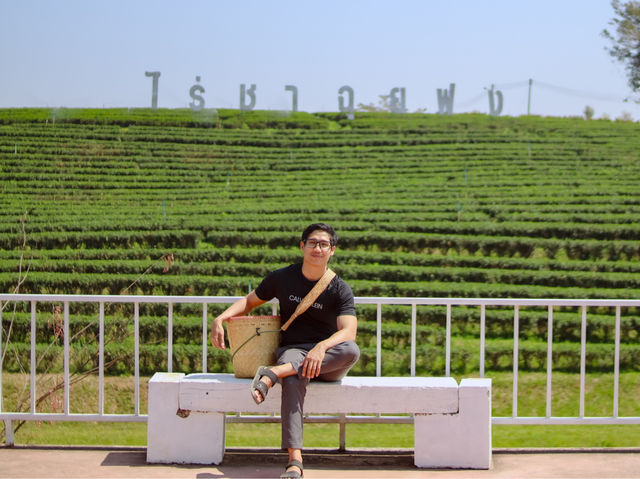 รีวิว ไร่ชาฉุยฟง