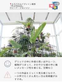 【保存版】表参道無料のアート巡り🎨モデルコースと正直レビュー