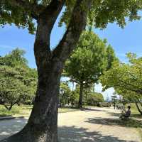 【道後公園】道後駅前のゆのやとお団子を買って公園でいただきます🩷