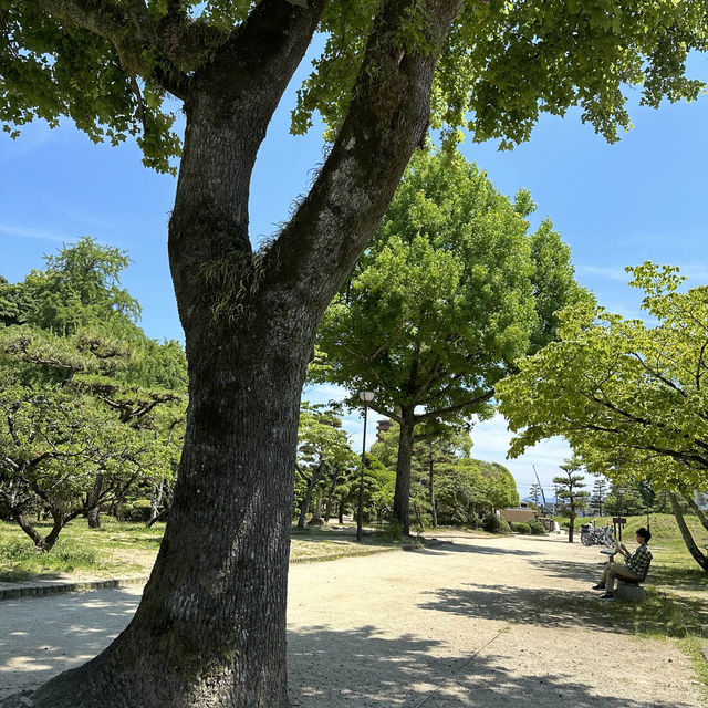 【道後公園】道後駅前のゆのやとお団子を買って公園でいただきます🩷