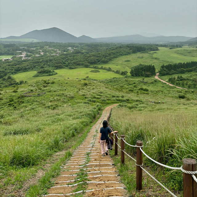 제주여행🏝️ 열여섯번째 오름, 서쪽 대표 오름 새별오름💫