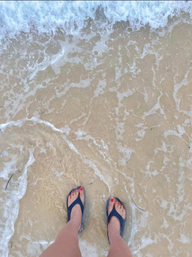 猫好き必見！！フォトジェニックな白い砂浜と猫たちに癒されるタイにある美しい離島🏝🐚🫧【プーケット🇹🇭】