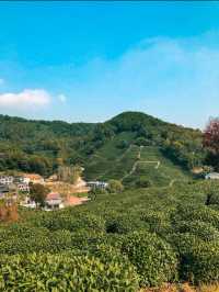 Hiking through Longjing Tea Fields in Hangzhou 🇨🇳