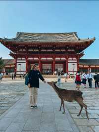 Todai-ji’s Largest Ancient Wooden Building in the World 🦌