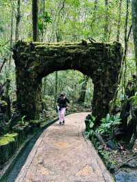A Walk To Remember: Breathtaking Kinabalu