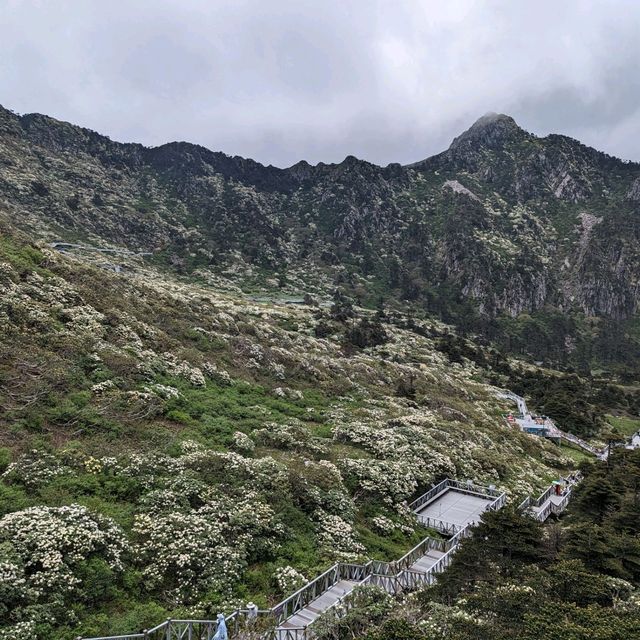 4000m Cangshan Moutain Views Via Relaxing Cable Car Ride