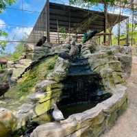 The Bentong Farm Malaysia