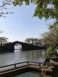 Incredible Beauty of Wuxi Turtle Head Island 🐢🌳