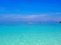 ดูน้ำทะเลใสๆ ที่เกาะรอก-เกาะห้า 