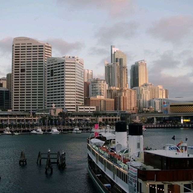 Best view of the Harbour