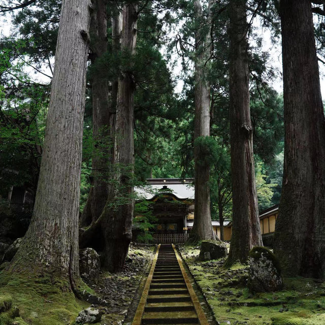 孔大寺神社 ⛩️ 平靜祥和