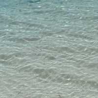 몰디브 오젠라이프 마두