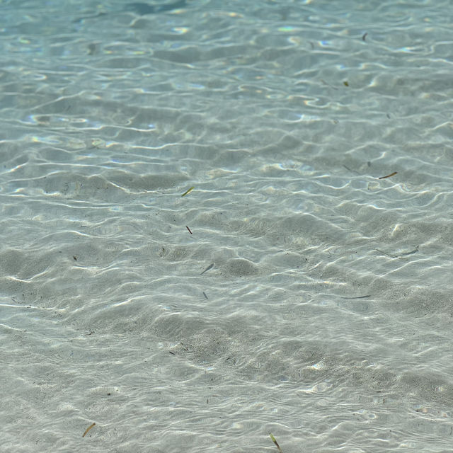 몰디브 오젠라이프 마두 몰디브 오젠라이프 마두