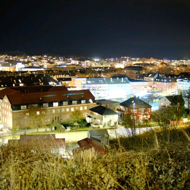 挪威的教育城市Trondheim，最後的極光