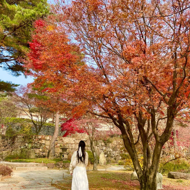 역대급 가을 느낄 수 있는 여기는⁉️