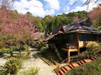 Angkhang Nature Resort