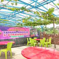 🇲🇾 Taman Anggur & Strawberry Darul Zahra: A Rooftop Retreat