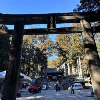 深入日光東照宮的歷史與藝術之旅