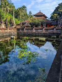 A Purification Rituals at Tirta Empul, absolutely a spiritually enlightening experience!