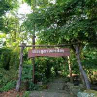 ป่าในเมือง ณ เขากระโดง บุรีรัมย์