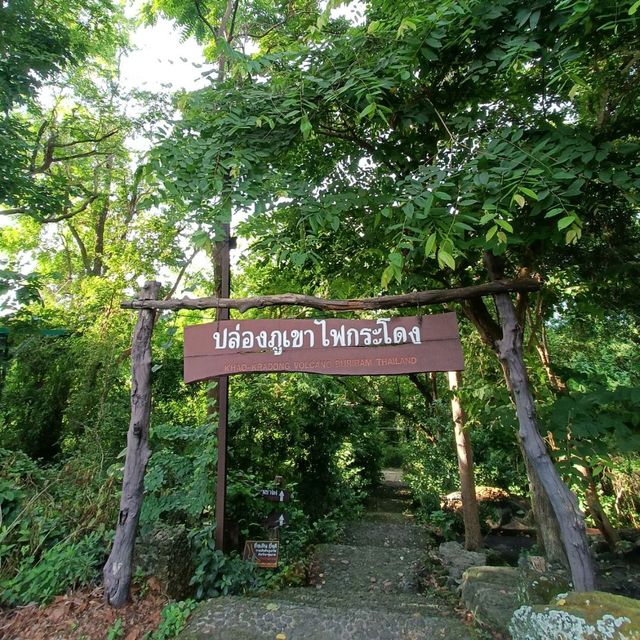 ป่าในเมือง ณ เขากระโดง บุรีรัมย์