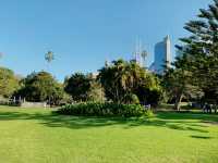 Royal Botanic Garden Sydney