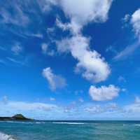 幸喜海灘🏝️陽光與海浪 🌊☀️