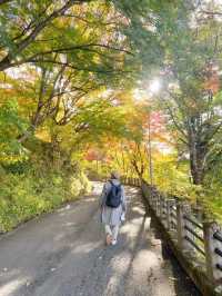 Autumn in Takayama 🍁🍂