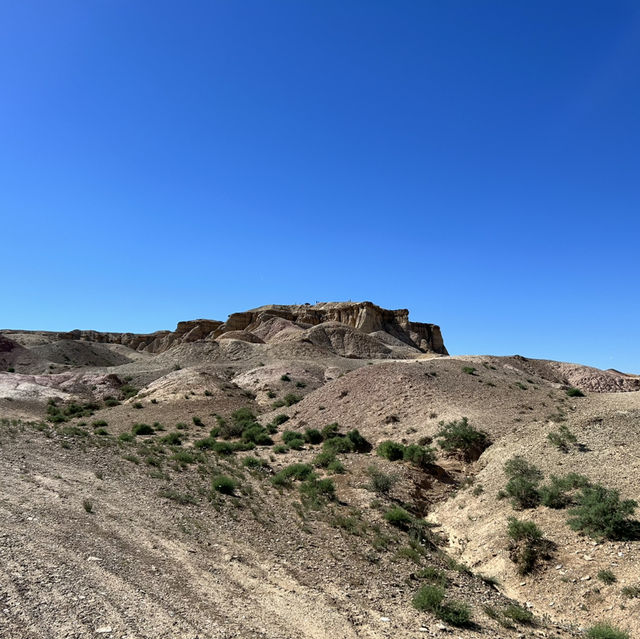 Through the Gobi’s Vastness: Discovering the White Stupa