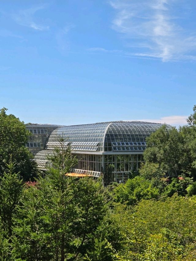 デートにぴったり！高知市内の植物園