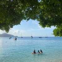 Island Perfection: Fitzroy Island Steals the Heart