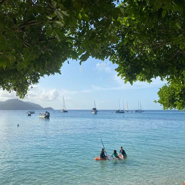 Island Perfection: Fitzroy Island Steals the Heart