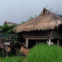 บ้านพักลอแอะ ป่าบงเปียง - เชียงใหม่