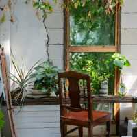  "Jungfood" โฮมคาเฟ่สุดที่น่ารักแบบป่ากลางเมือง