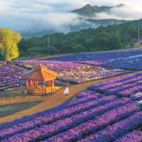 거창 감악산 사람 많은 이유💜