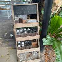 บ้านถั่วเย็น ไลฟ์สเปซ | BaanTuaYen HUA HIN