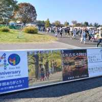 東京景點｜東京近郊知名銀杏賞風景點—國營昭和紀念公園