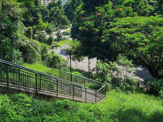 Urban Symphony from Henderson Waves