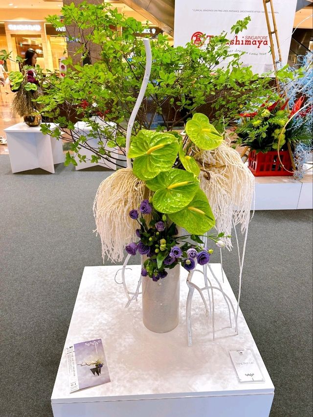 Stunning Sogetsu Ikebana Awakening Exhibition 