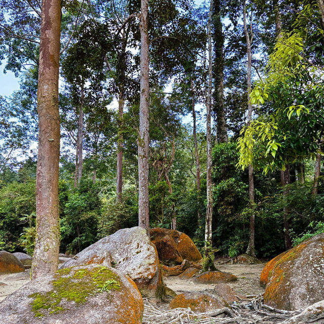 "Explore Nature on the Scenic Hiking Trails of Taman Eko Rimba Ulu Bendul"