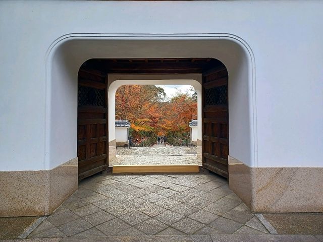 【興聖寺:京都府宇治市】秋には美しい紅葉が見れるお寺🍁