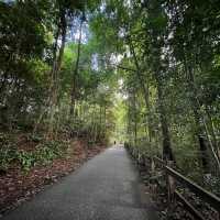 Monthly Hiking at Bukit Timah Hill 🇸🇬