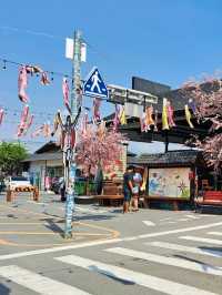 เที่ยวตลาดปลาญี่ปุ่นในไทย