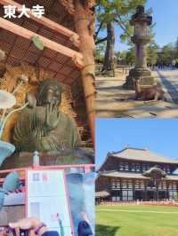 【歴史と自然を感じる古都🍁奈良旅🦌】