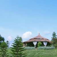 The Peak Flower Land.