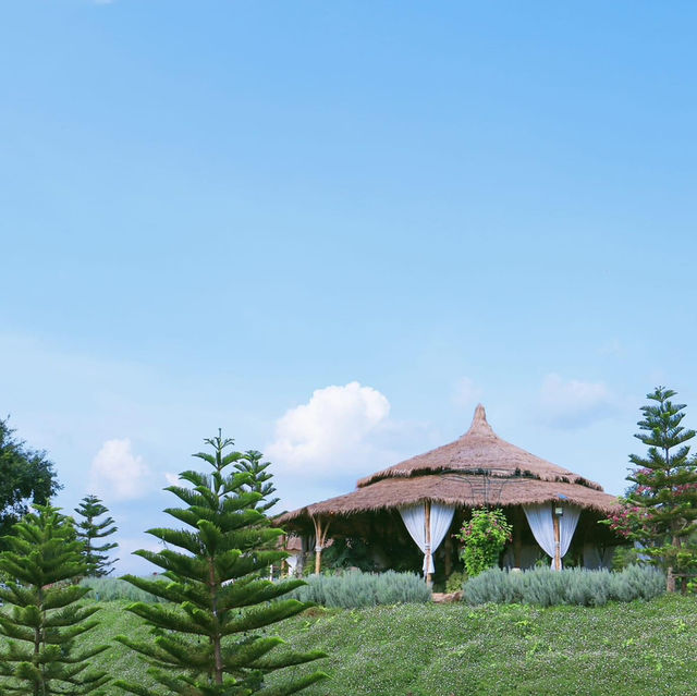 The Peak Flower Land.