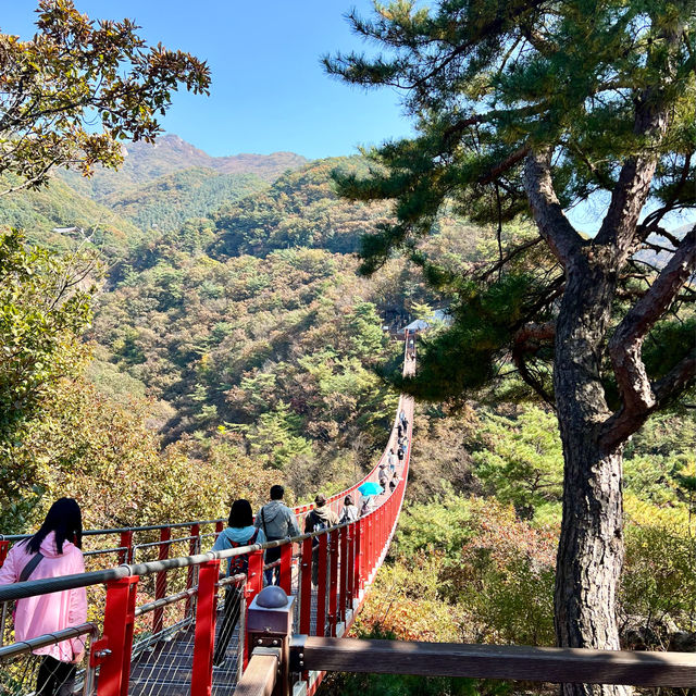📍GAMAKSAN MOUNTAIN