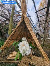 東京賞牡丹花的好去處-上野東照宮牡丹苑