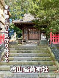 【埼玉県】室町時代から見守り続ける神社