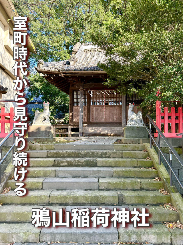 【埼玉県】室町時代から見守り続ける神社